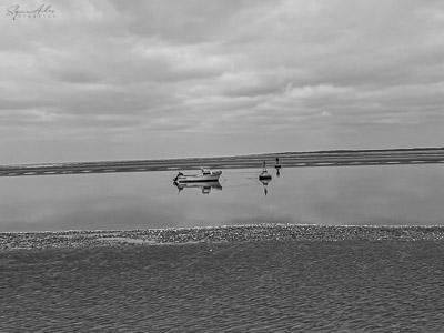 falaises et marées 4